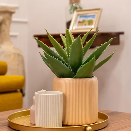 Apartment Neda Split