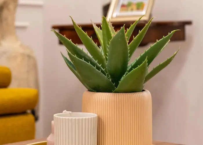 شقة Neda سبليت